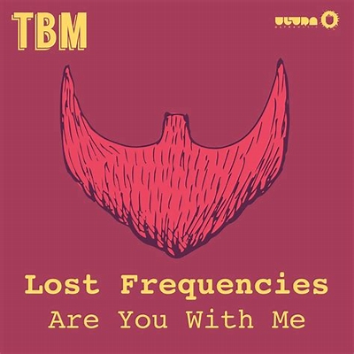 Lost Frequencies Are You With Me (Radio Edit)